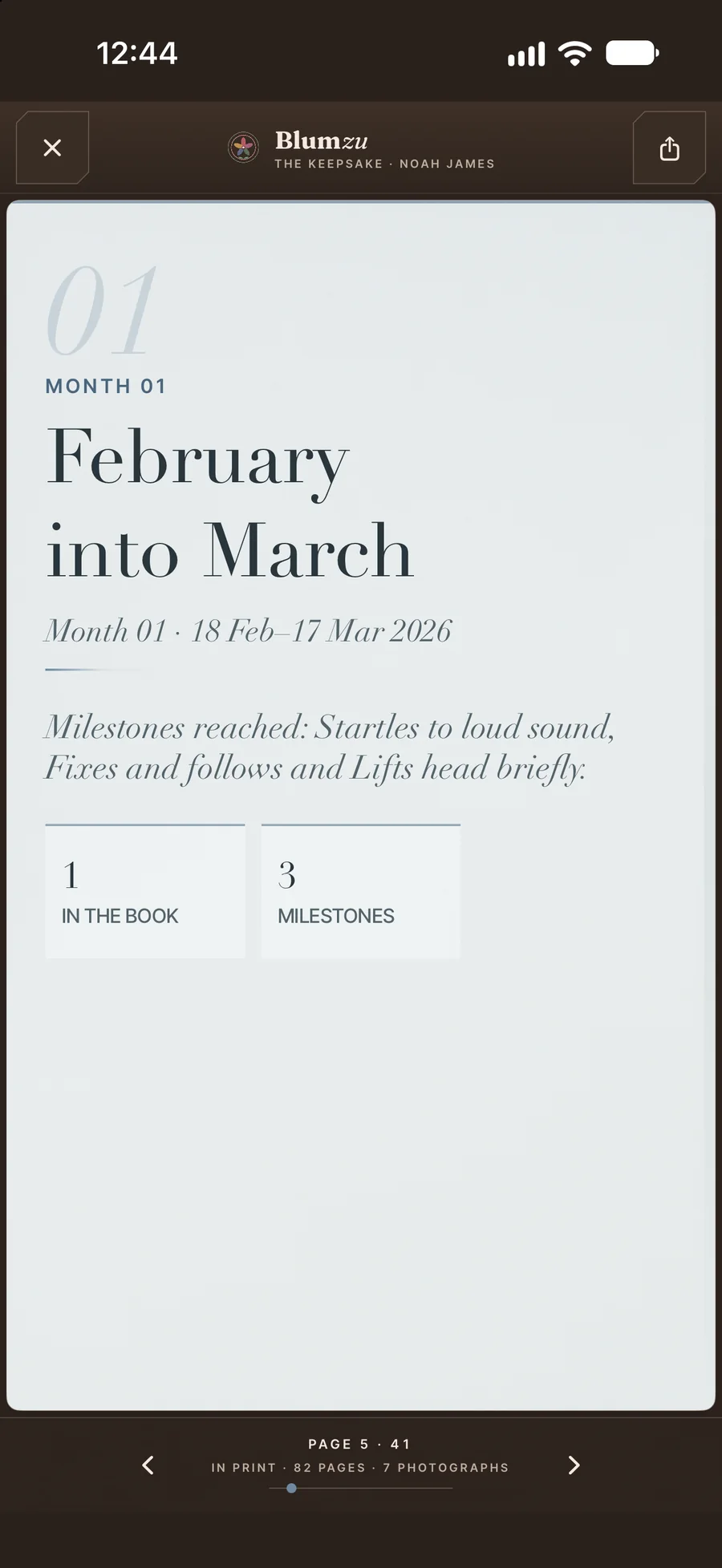 Month one of the digital Blumzu book: February into March.